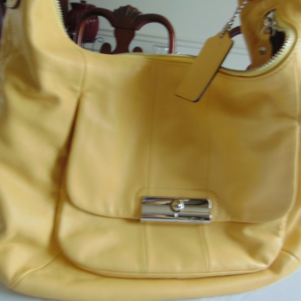 large purse